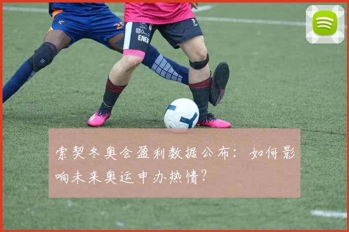 索契冬奥会盈利数据公布:如何影响未来奥运申办热情?