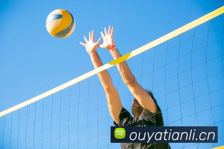 星空官方网站平台APP 封面图